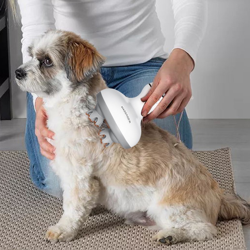 Wireless Waterproof Electric H - Hair Scalp Massager review and price